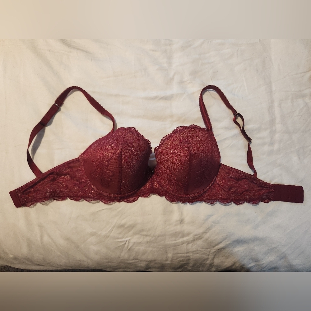 Burgundy Sparkly Lace, 32DDD